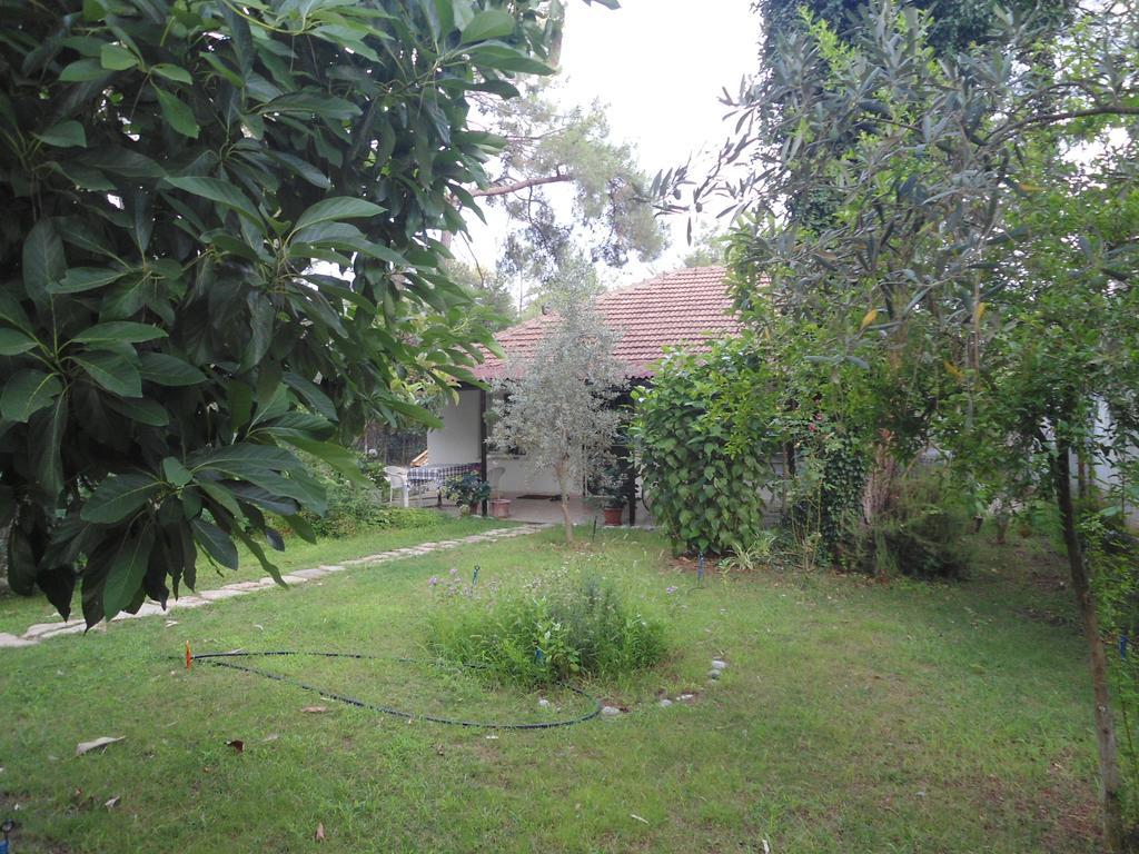 Çıralı Bungalow Halil חדר תמונה