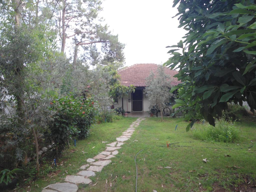 Çıralı Bungalow Halil חדר תמונה